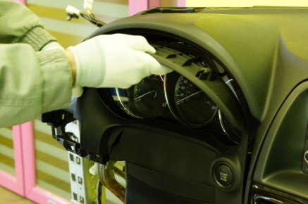 Shutterstock_1131475814