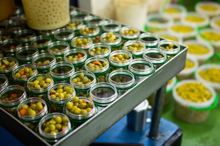 Shutterstock_1913612116